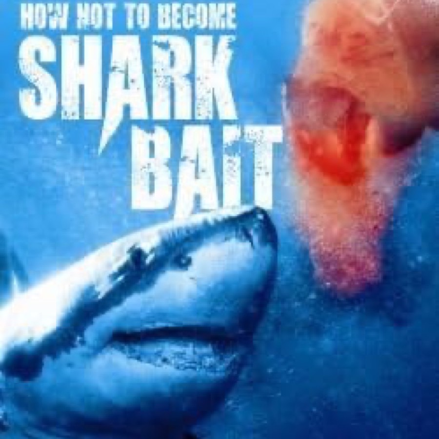 How not to become shark bait