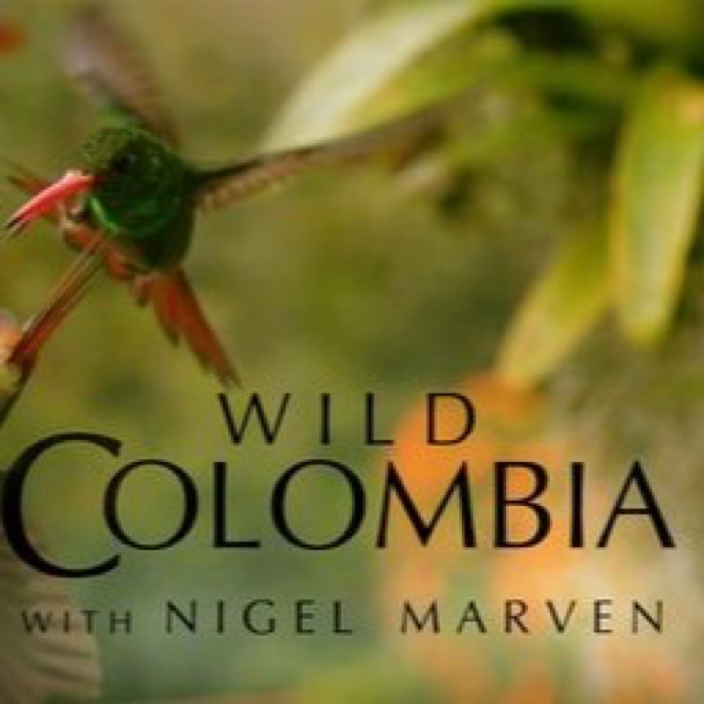 Colombie Sauvage