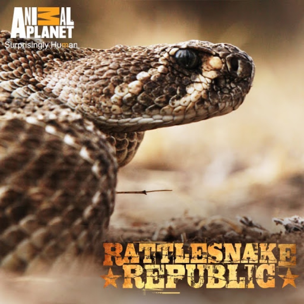 Le Pays des Serpents à Sonnette